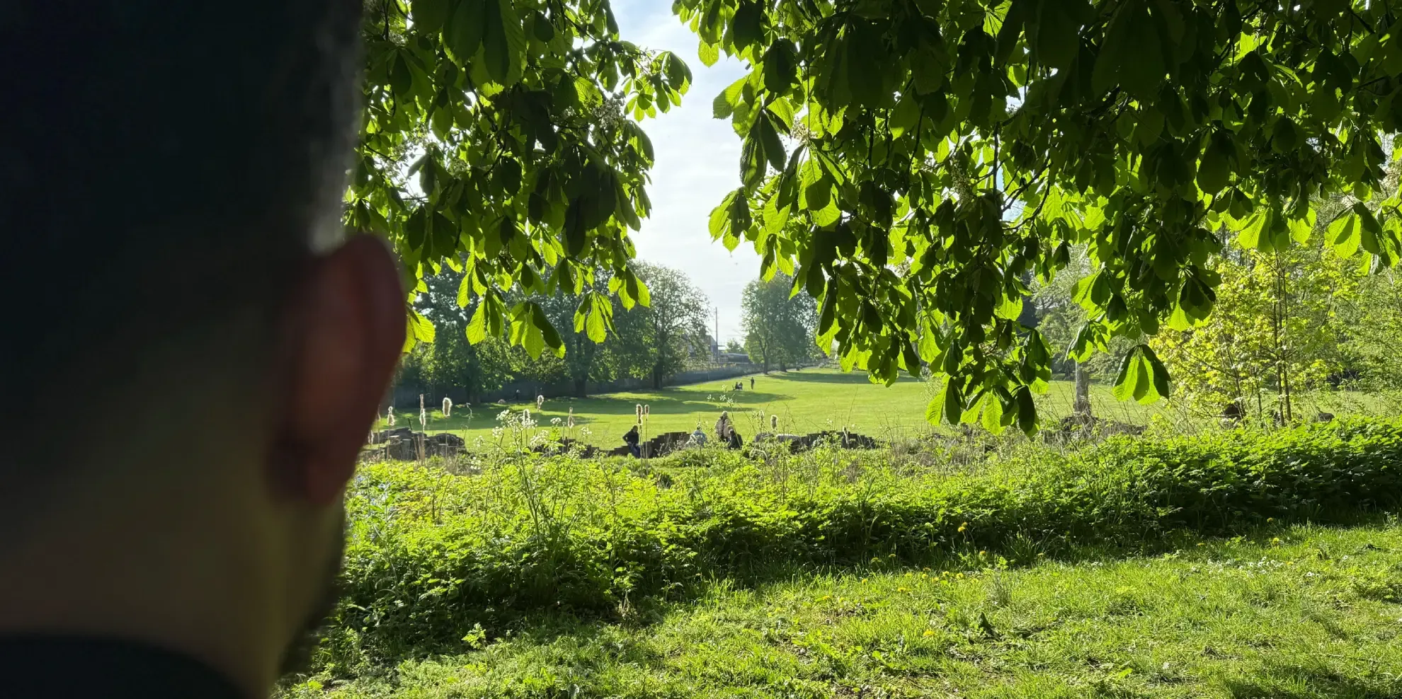 Moor Park